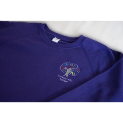 SS8B - Crowdys Children's Sweatshirt Primary